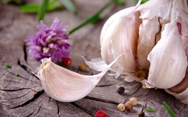 Αποτέλεσμα εικόνας για σκόρδο