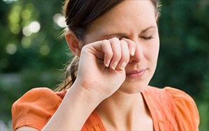 Τι φυτεύουμε, τι μεταφυτεύουμε, τι συλλέγουμε και πότε.  