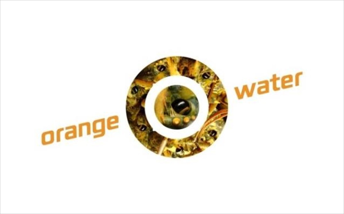 orange-water-fest-porter