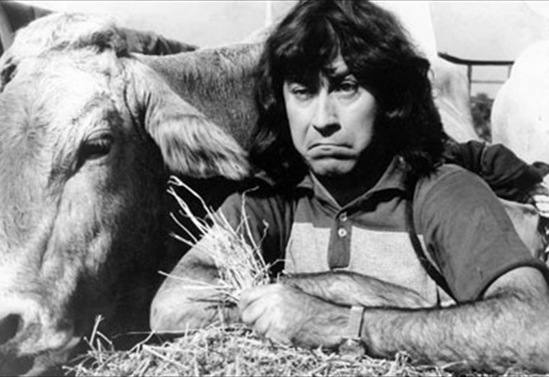 ΘΟΥ ΒΟΥ ΦΑΛΑΚΡΟΣ ΠΡΑΚΤΩΡ, ΕΠΙΧΕΙΡΗΣΙΣ: ΓΗΣ ΜΑΔΙΑΜ