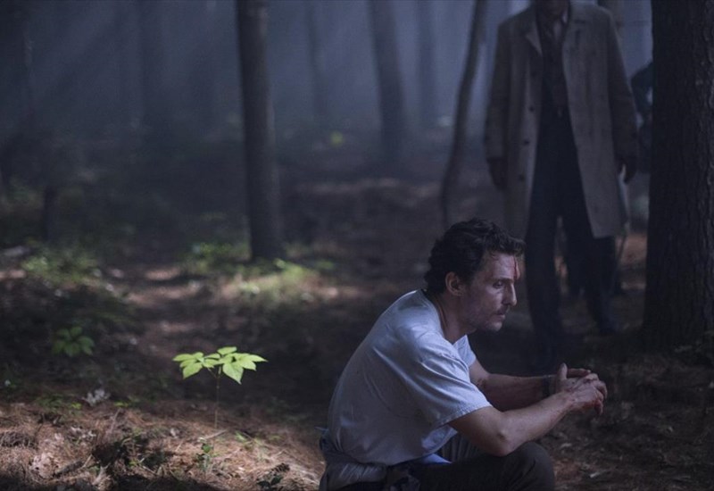 ΜΙΑ ΘΑΛΑΣΣΑ ΑΠΟ ΔΕΝΤΡΑ