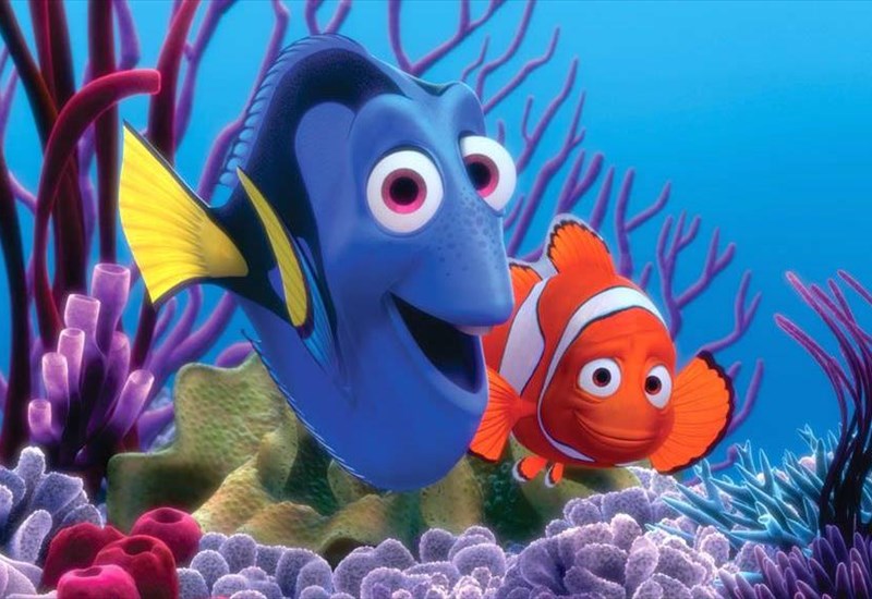 ΨΑΧΝΟΝΤΑΣ ΤΗΝ ΝΤΟΡΙ