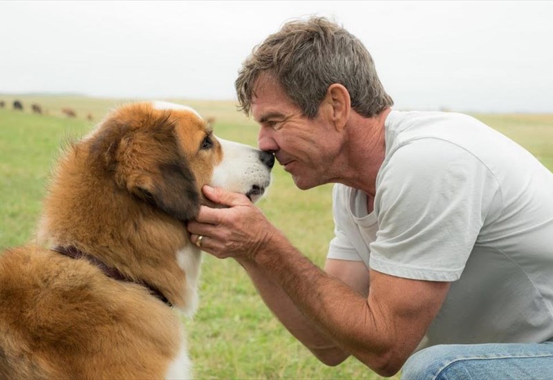 Ο ΚΑΛΥΤΕΡΟΣ ΦΙΛΟΣ ΜΟΥ