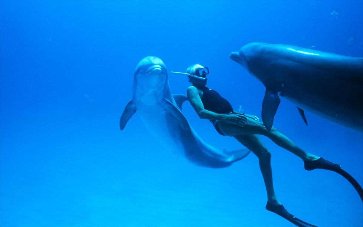 Dolphin Man: Δωρεάν προβολή για την ημέρα της Γης
