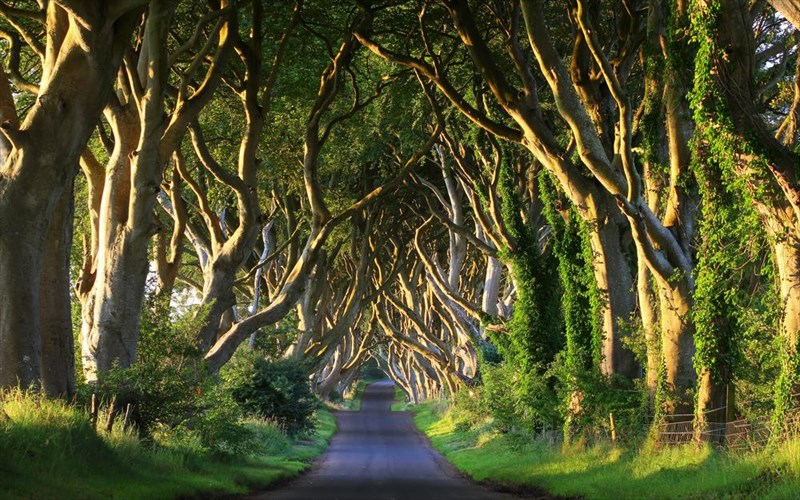 eksi-dasi-tou-planiti-pou-moiazoun-san-na-bgikan-apo-paramuthi