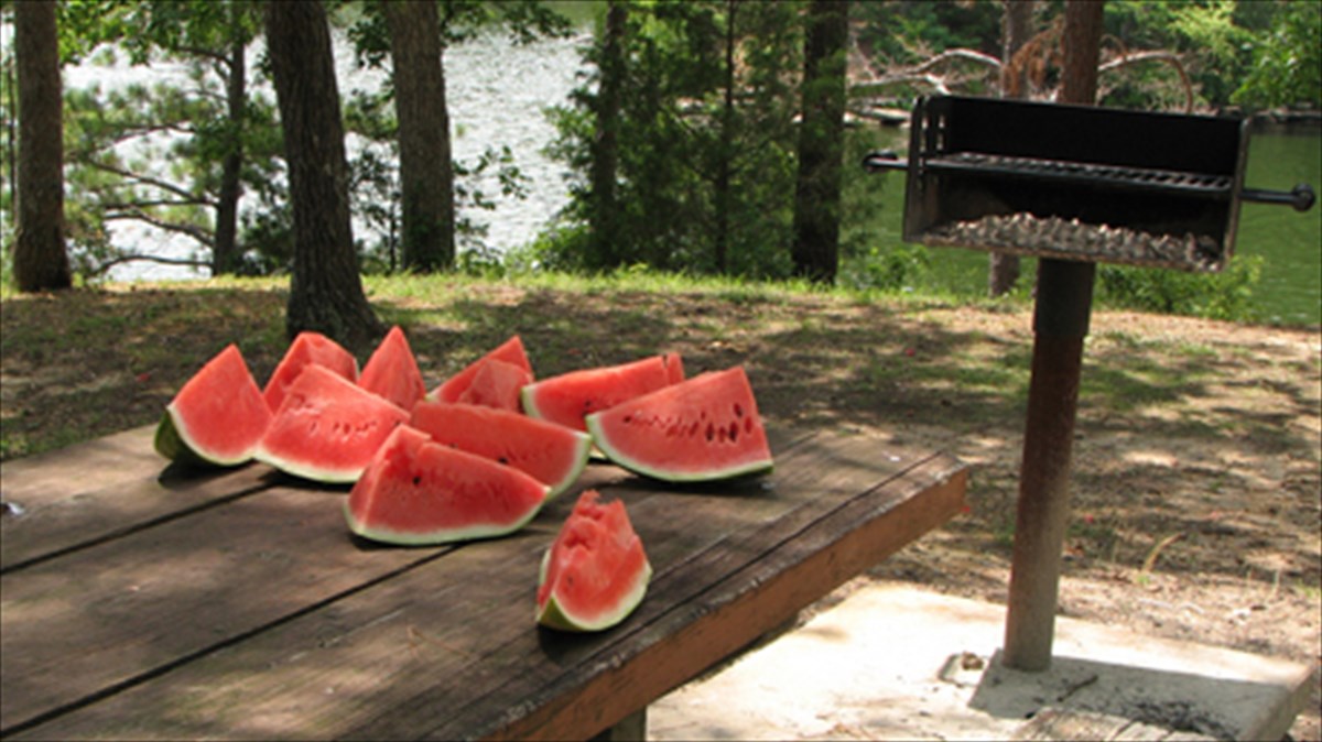 6-fagita-pou-den-kserate-oti-ginontai-kai-sta-karbouna-fagita-pou-den-kserate-oti-ginontai-kai-sta-karbouna