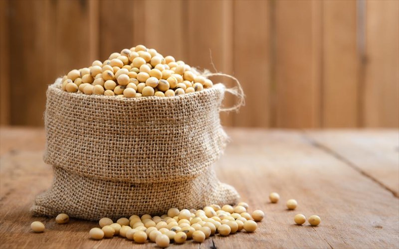 sogia-kai-genetiki-tropopoiisi-ti-prepei-na-gnorizoume