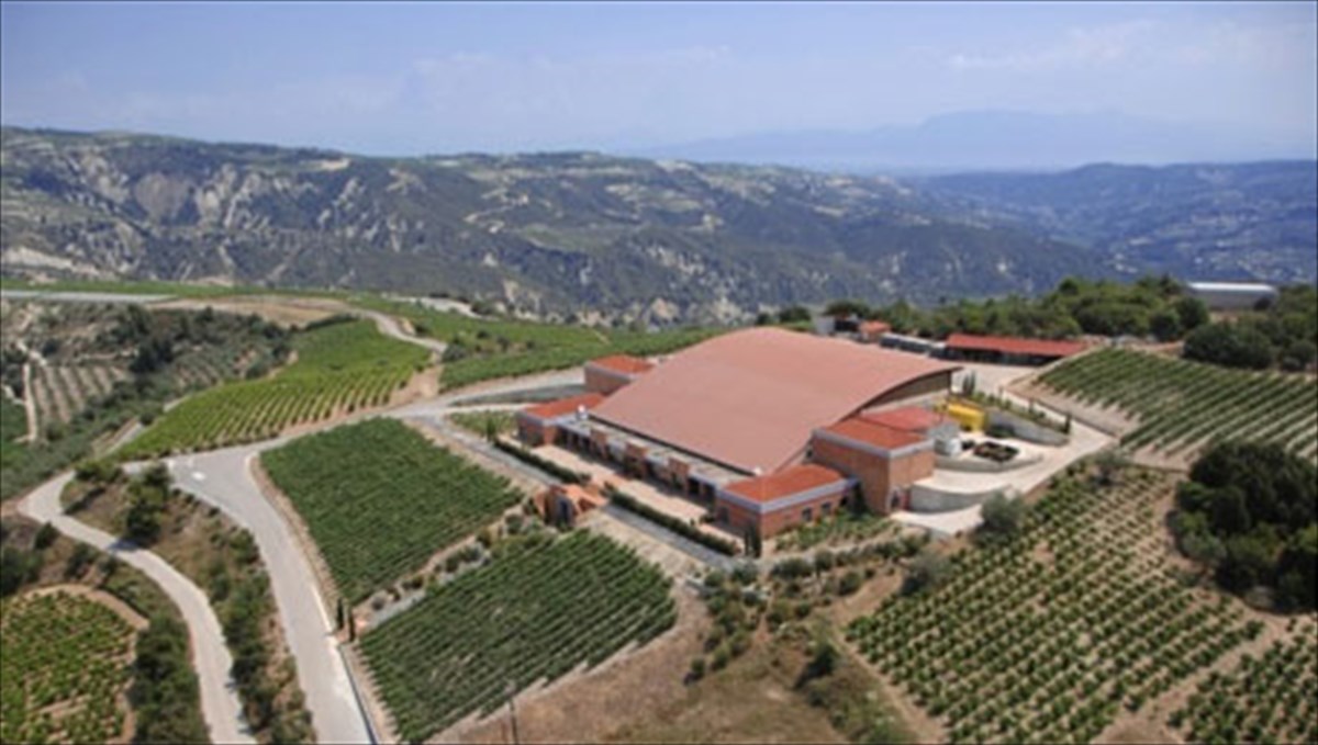 oinopoiia-semeli-kali-proti-uli-kai-protoporia-gia-tin-paragogi-eklekton-krasion