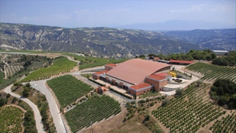 oinopoiia-semeli-kali-proti-uli-kai-protoporia-gia-tin-paragogi-eklekton-krasion