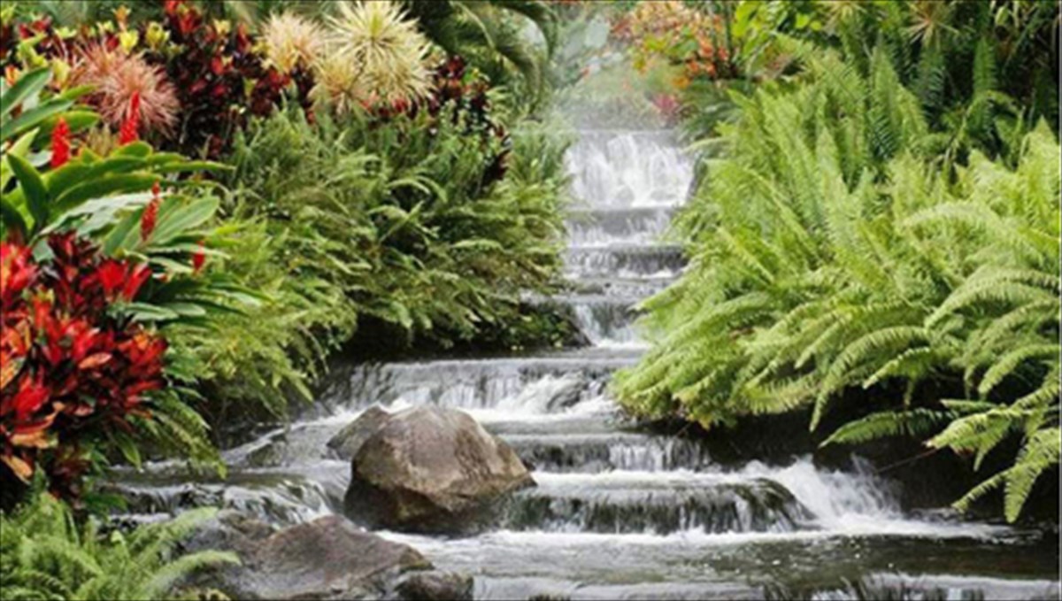 eikastikes-eksormiseis-se-olo-ton-kosmo