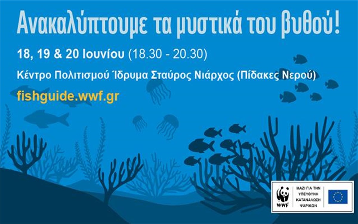 wwf-summer-nostos