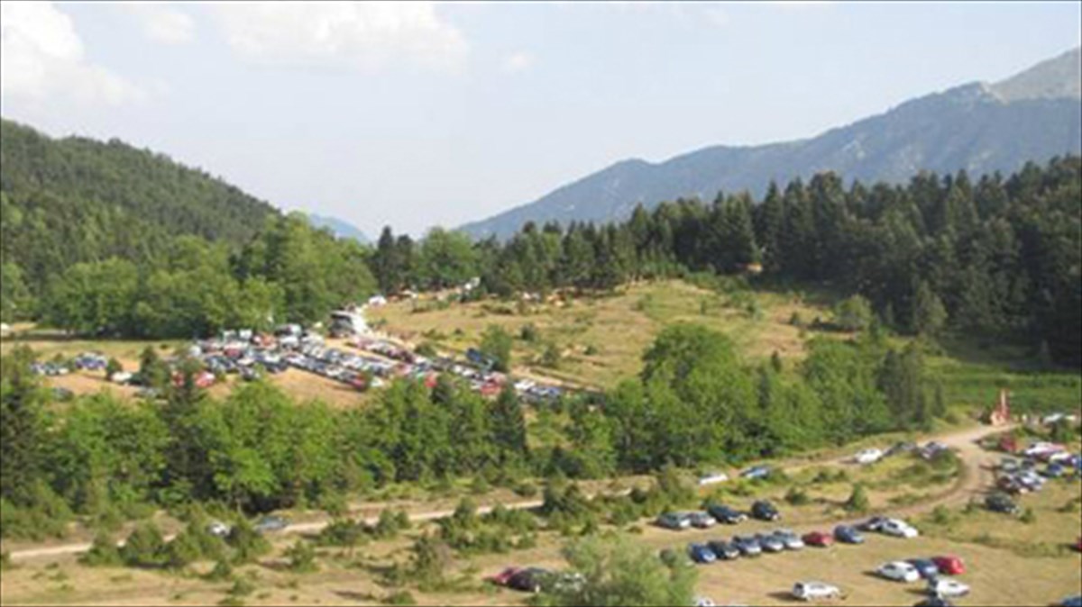 mousikoi-ixoi-sto-dasos-tis-fokidas