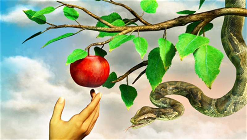 to-mustiko-tou-adamapokaluptetai