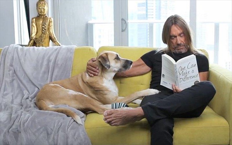 o-iggy-pop-kai-o-skulos-tou-protagonistoun-se-diafimisi-tis-peta-skulos-tou-protagonistoun-se-diafimisi-tis-peta