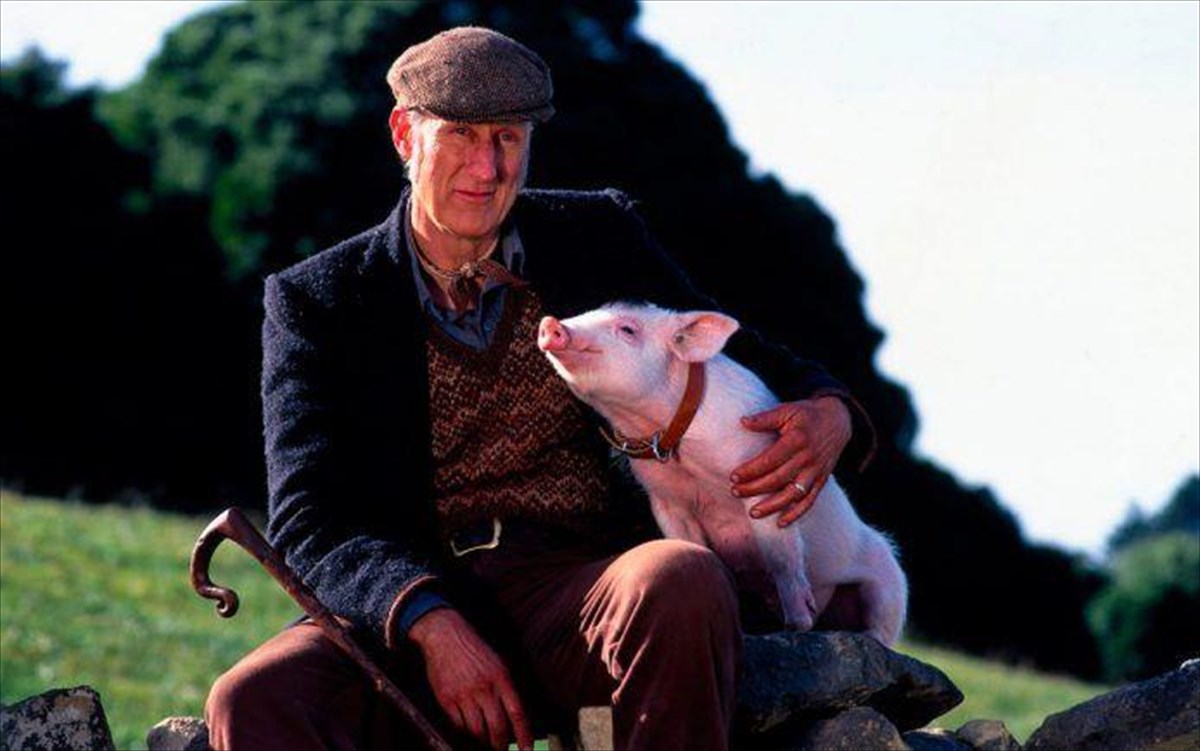 babe-James-crowmwell