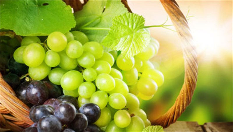 i-diatrofiki-aksia-tou-stafuliou