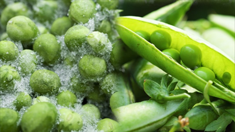 epeksergasmena-vs-freska-trofima-and-the-winner-is