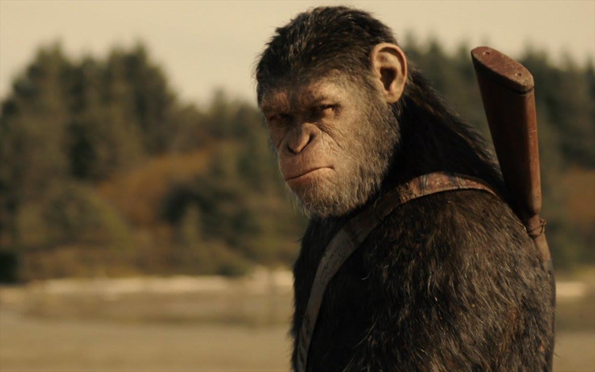 o-planitis-ton-pithikon-i-sugkrousi