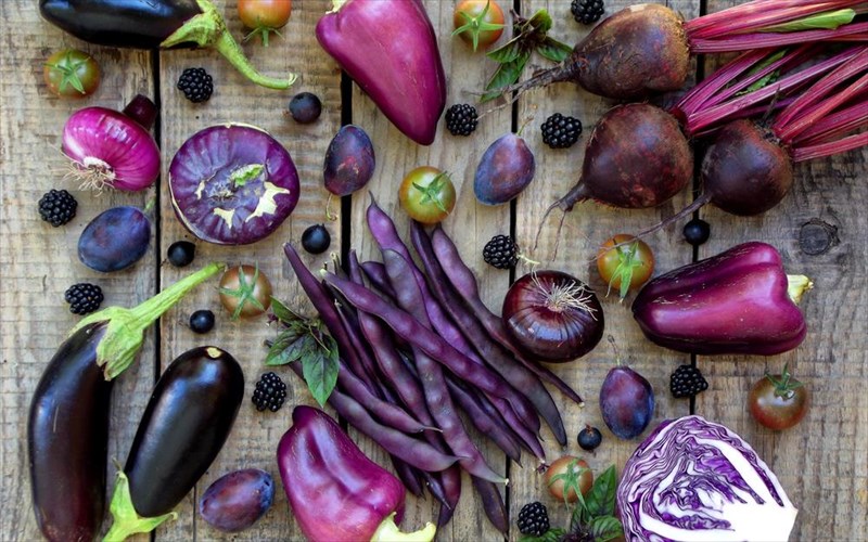 ta-ofeli-gia-ton-organismo-mas-apo-tis-mob-trofes