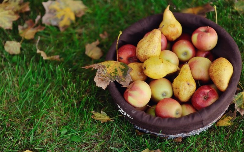 fthinoporina-frouta-kai-laxanika-pou-tha-sas-boithisoun-na-xasete-baros