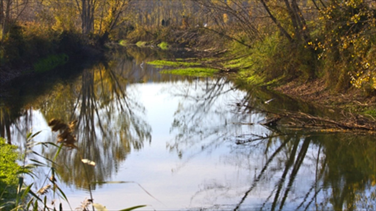 oikologiko-festibal-me-fonto-ti-limni-kerkini