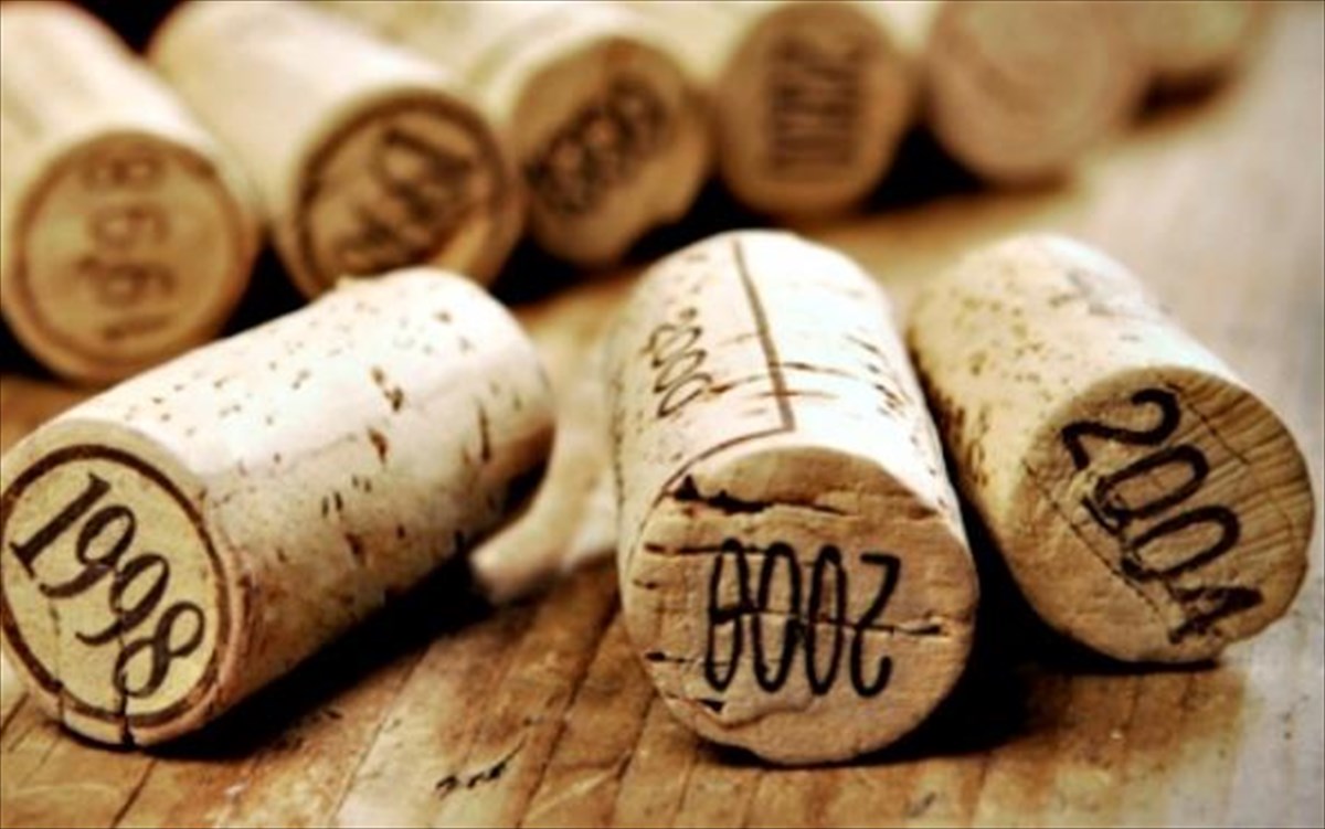 genius-in-gastronomy