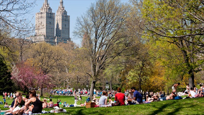 merika-apo-ta-kalutera-astika-parka-se-olo-ton-kosmo