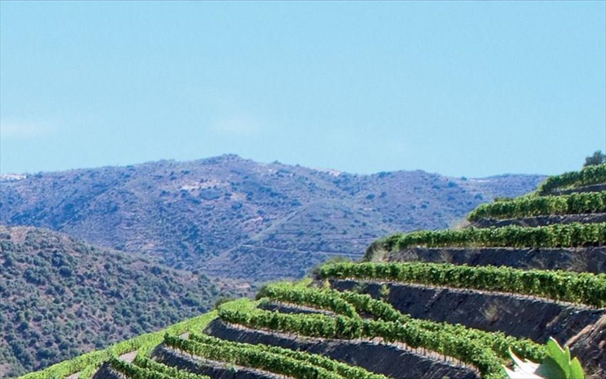 tou-kosmou-ta-paraksena-krasia