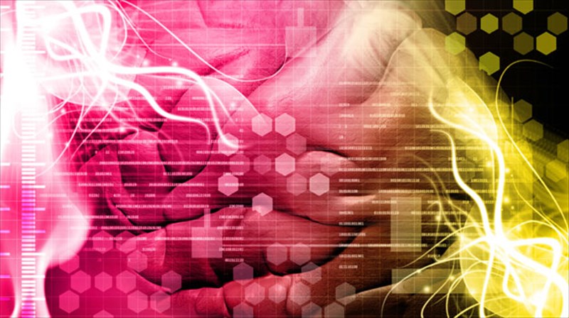 upoptos-o-rolos-tis-bitaminis-e-sta-egkefalika-epeisodia-rolos-tis-bitaminis-e-sta-egkefalika-epeisodia