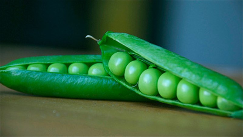 ta-10-ofeli-tou-araka-gia-tin-ugeia-mas