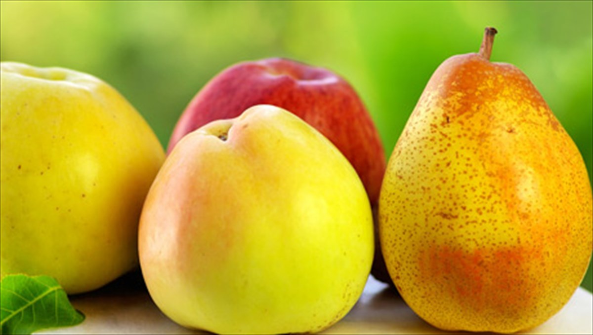 7-upertrofes-tou-septembriou-upertrofes-tou-septembriou