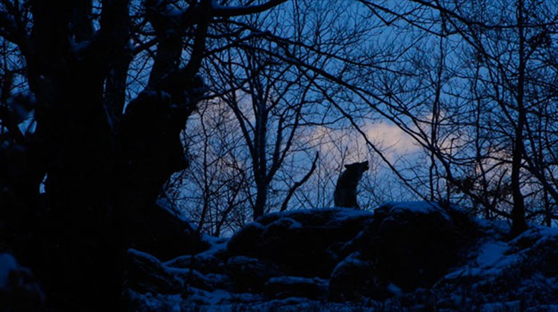 i-sugxroni-serbia-fotografizetai