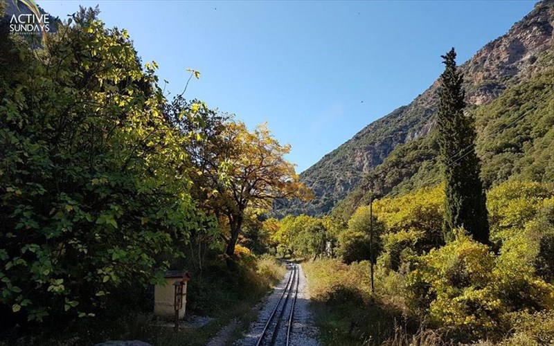 oi-active-sundays-etoimazontai-gia-kalabruta-me-ton-odontoto