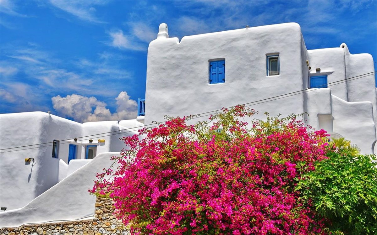 kourmpoglou-52-weeks