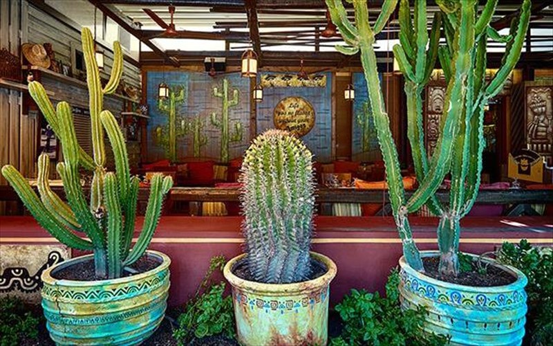 to-amigos-neas-smurnis-ginetai-10-kai-etoimazei-fiesta