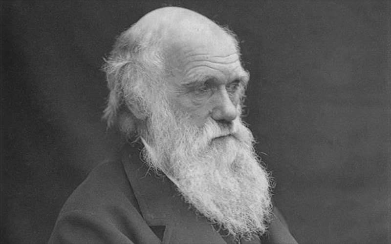 pros-polisi-oi-xeirografes-diorthoseis-tou-darbinou