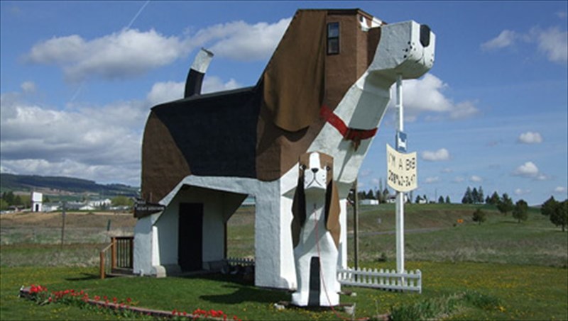 merika-apo-ta-pio-ekkentrika-kai-idiaitera-domatia-ksenodoxeion