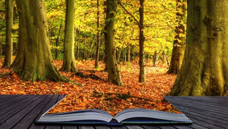 ypopsifiotites-gia-to-the-athens-prize-for-literature