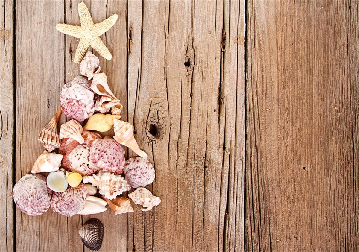 xristougenniatiko-dentro-apo-koxulia