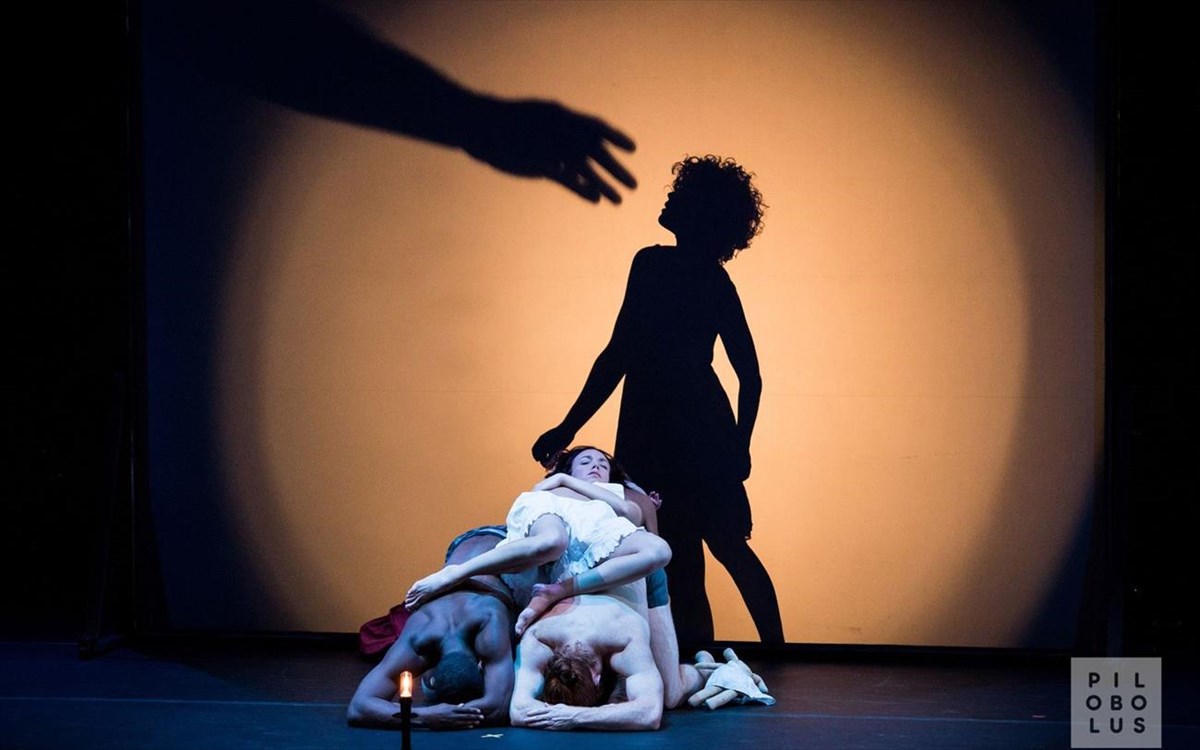 shadowlandpilobolusian-douglas