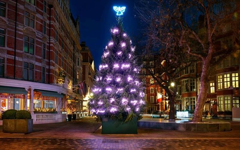 thelete-na-deite-ta-agapimena-dentra-ton-sxediaston-modas