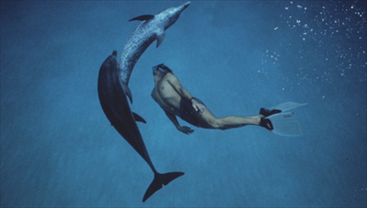 ta-delfinia-therapeuoun-tin-psuxi-enos-efibou