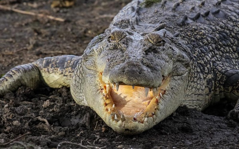 poio-einai-to-pio-epikinduno-nisi-tou-kosmou