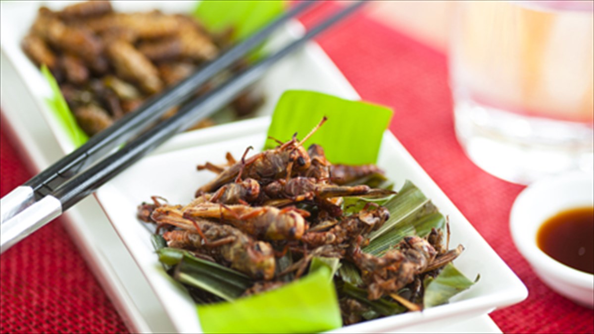 20-geustikes-prokliseis-apolo-ton-kosmo