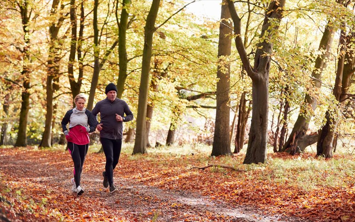 treksimo-zeugari-dasos-fthinoporo-dentra-fulla