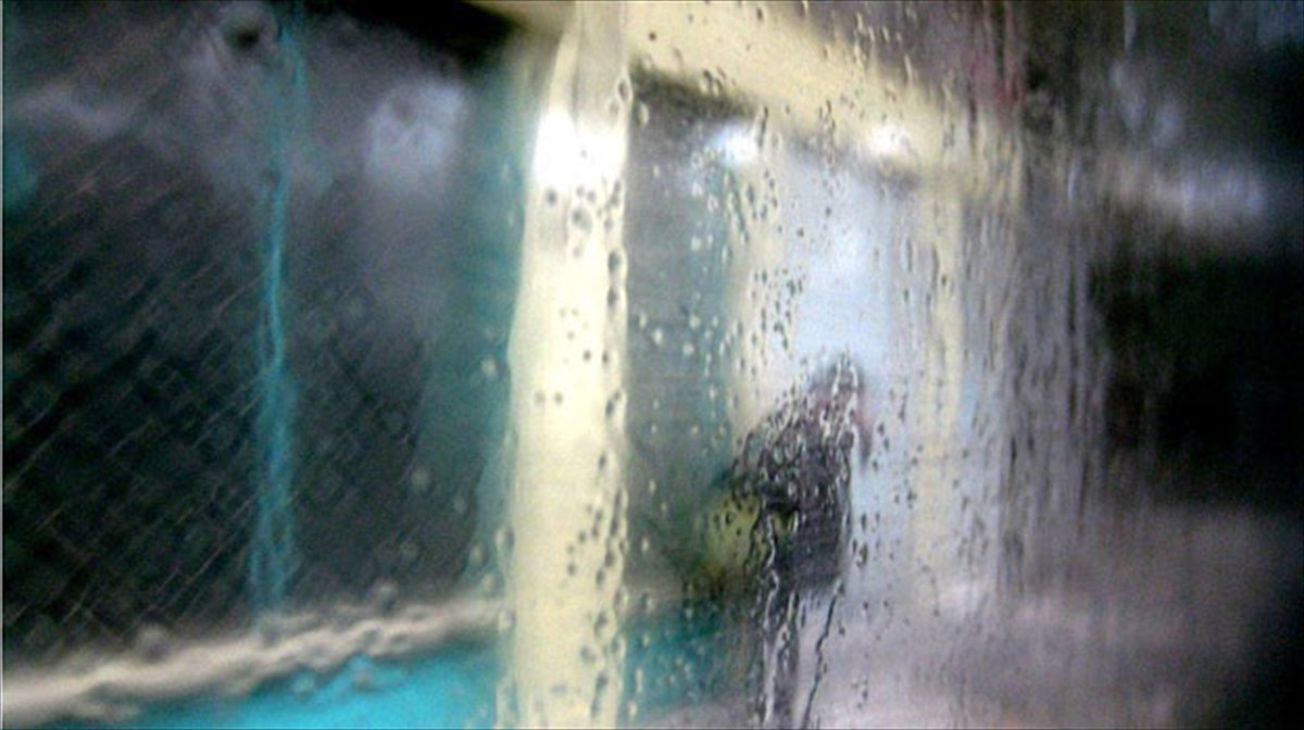 kathimerines-eikones-apo-tis-poleis-kai-tous-anthropous-tous