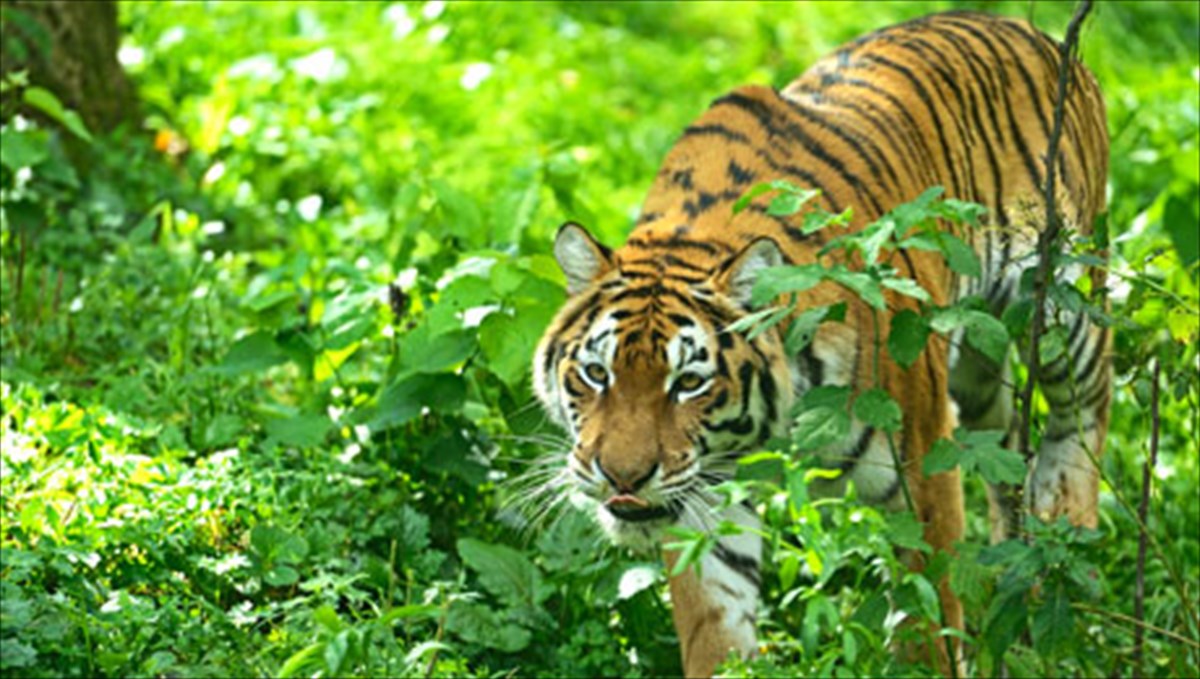 ena-brabeumeno-best-seller-me-sunarpastiki-ploki