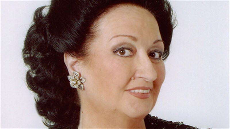 nosileuetai-i-monsera-kampagie-monsera-kampagie