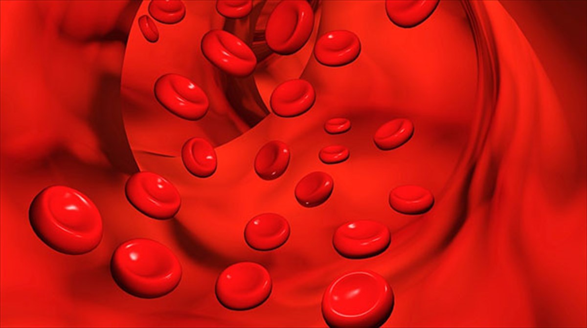 i-dimiourgia-aimatos-apo-derma-anoigei-neous-dromous-stin-epistimi