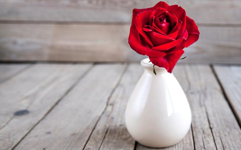 otan-kai-to-ntizain-kokkinizei